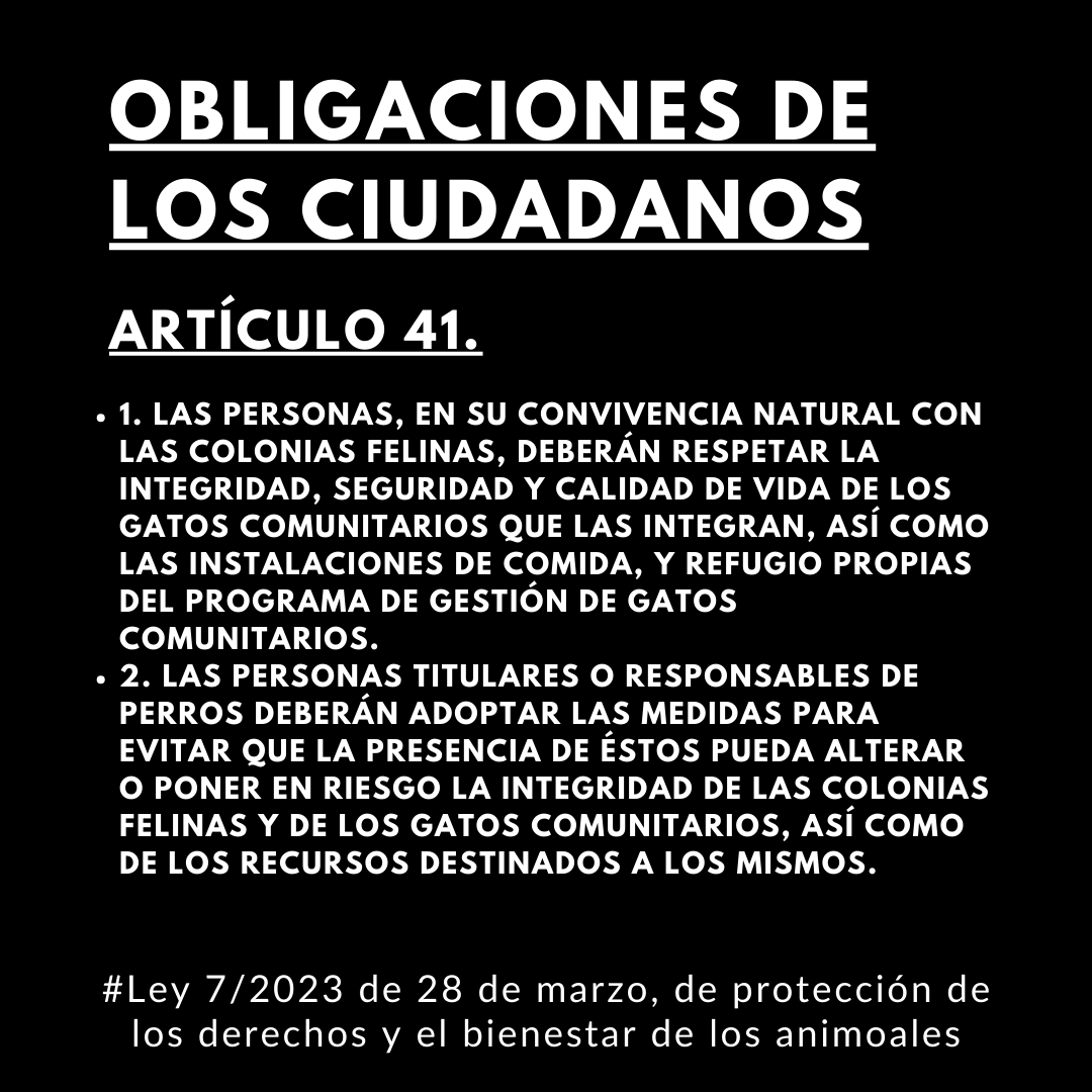 Definiciones Gestión de colonias felinas