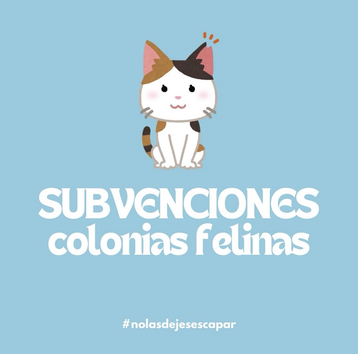 Subvención colonias felinas