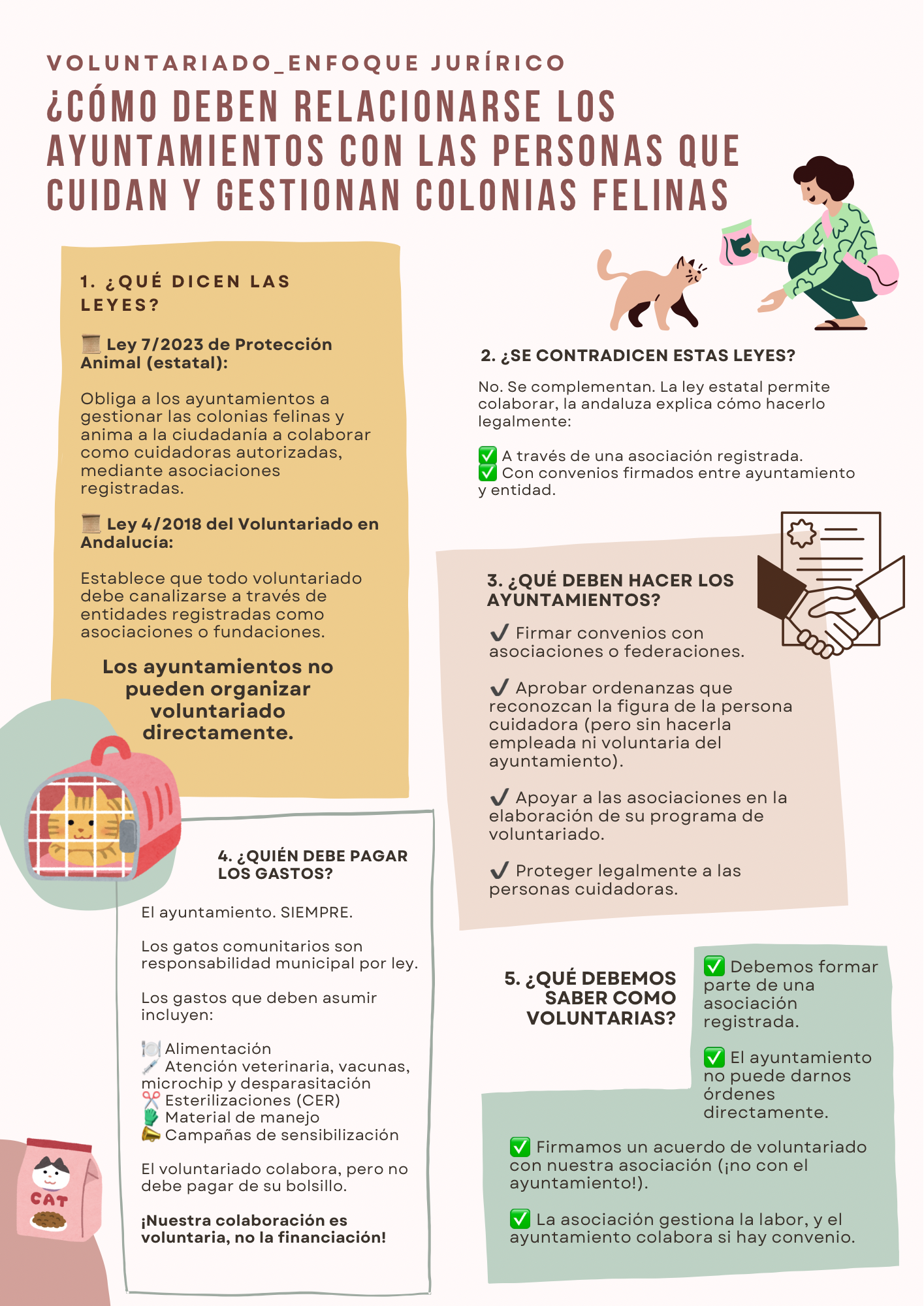 Voluntariado en colonias felinas